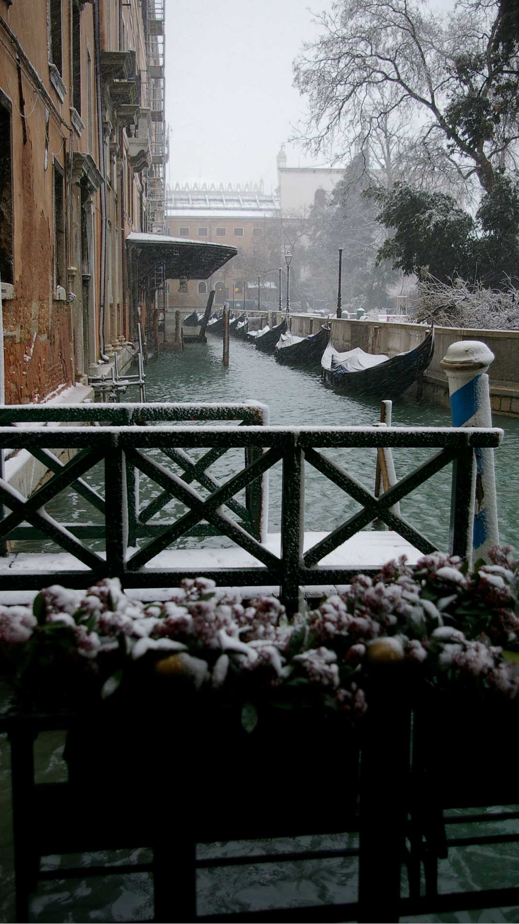 Snow Covered Gondolas